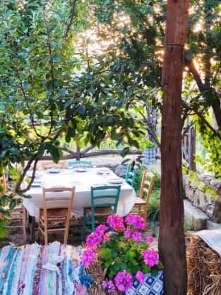 Mesas vestidas para la comida rodeadas de árboles