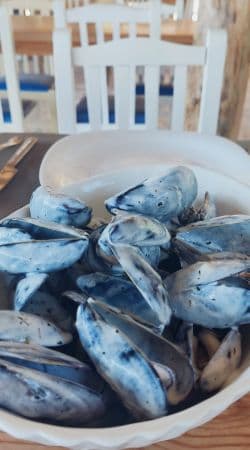 Plato de mejillones en crema del agroturismo Mussel house