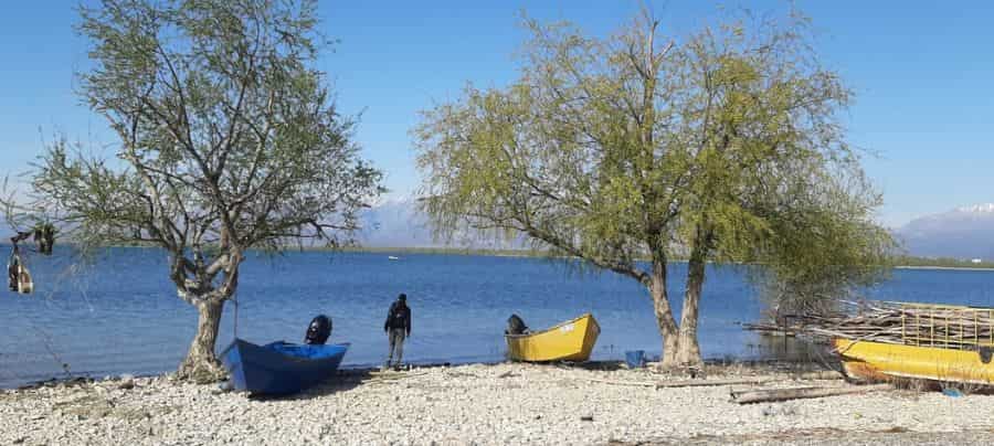 Vista de la orilla del lago Shkodra