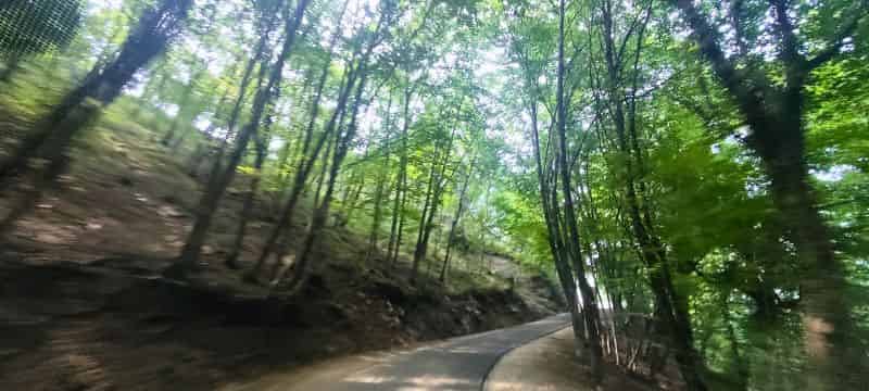 Carretera de subida al monte Dajti