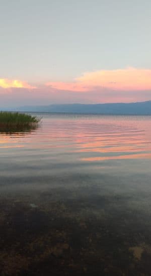 Disfrutando del idílico atardecer.