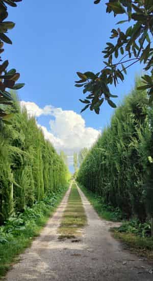 Visita a la granja Uka Farm